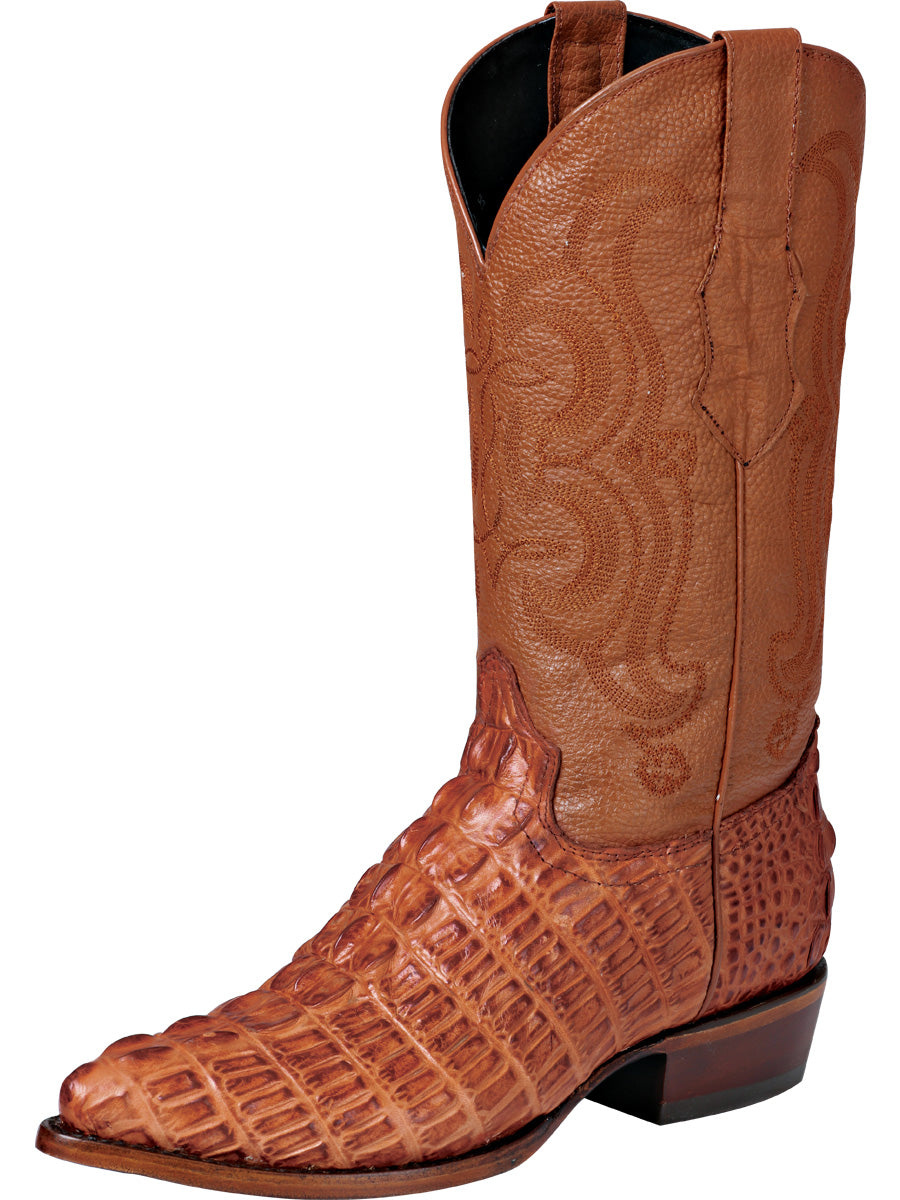 Cowboy boot  El Senor de los Cielos - Caiman  - Cognac 40841