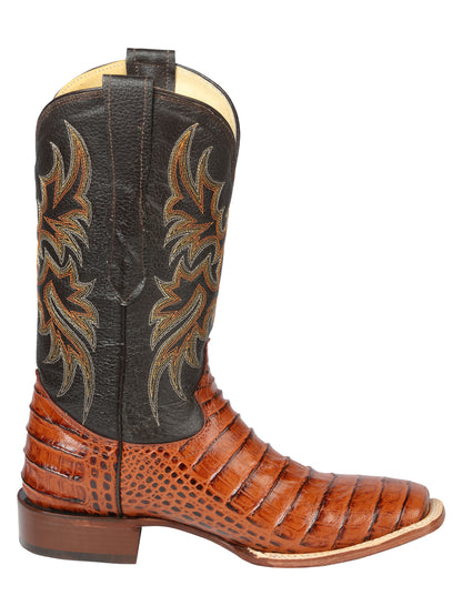 El General Rodeo - Printed Alligator leather boots - Cogñac 44939